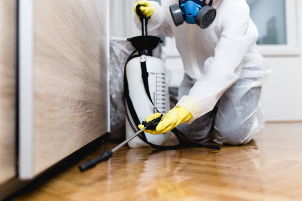 Best Cockroach Control Services  in Carbon Hill, AL