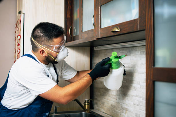 Best Cockroach Control Services  in Carbon Hill, AL
