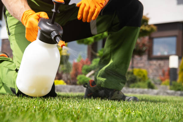 Bird Control in Carbon Hill, AL