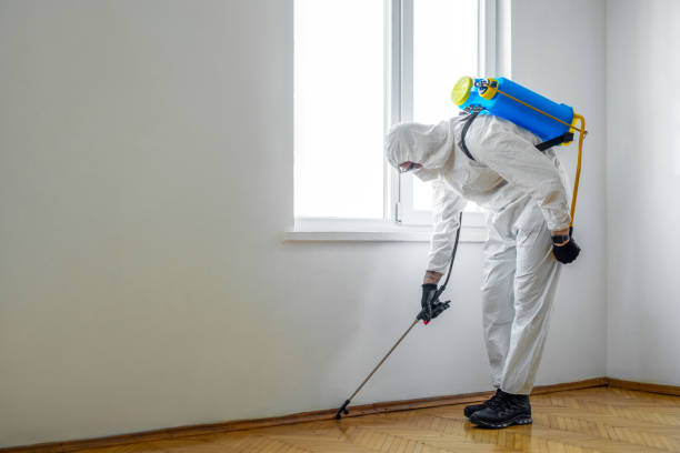 Best Best Pest Control Companies  in Carbon Hill, AL