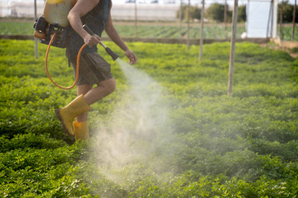 Best Wildlife Control Services  in Carbon Hill, AL
