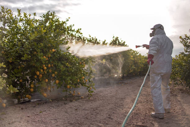 Best Affordable Pest Control Services  in Carbon Hill, AL