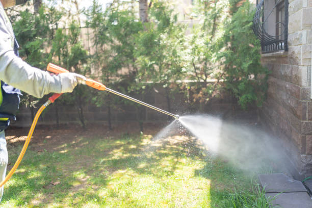 Best Pest Control Treatment  in Carbon Hill, AL