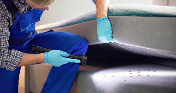 Best Pest Control Near Me  in Carbon Hill, AL
