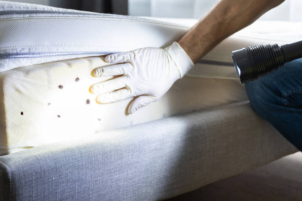 Best Pest Inspection Near Me  in Carbon Hill, AL