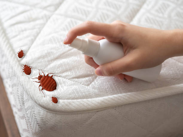 Best Pest Control for Restaurants  in Carbon Hill, AL