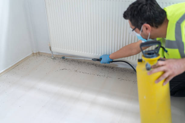 Best Exterminator Services  in Carbon Hill, AL