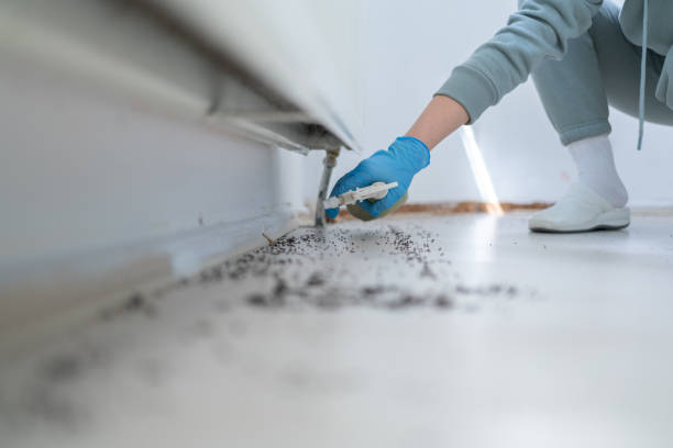 Best Local Pest Control Services  in Carbon Hill, AL