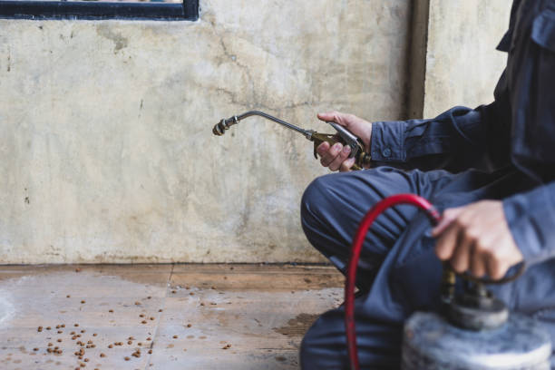 Best Pest Prevention Services  in Carbon Hill, AL